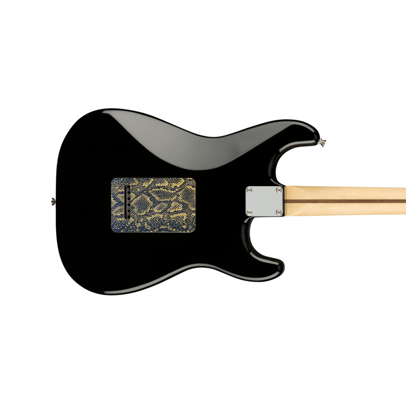 Plaque Arrière/trémolo musicdesign pour guitare Type Strat