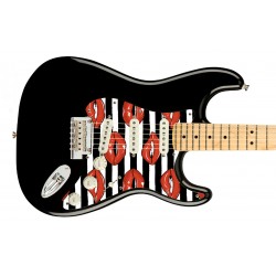 Pickguard guitare Type...