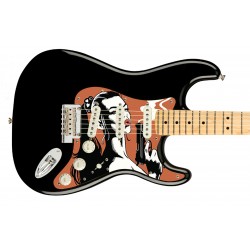 Pickguard guitare Type...