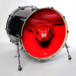 Peau de Batterie Red snake