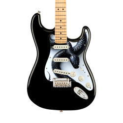 Pickguard guitare Type...