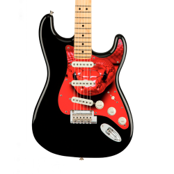 Pickguard guitare Type...
