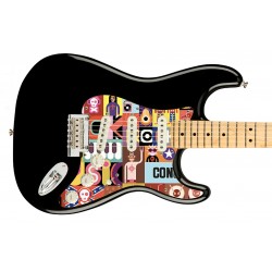 Pickguard guitare Type...