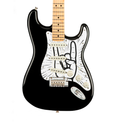 Pickguard guitare Type...