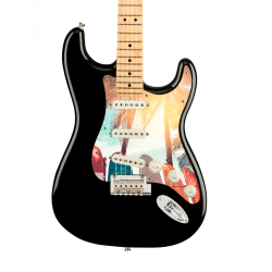 Pickguard guitare Type...