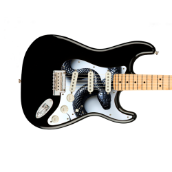 Pickguard guitare Type...