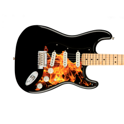 Pickguard guitare Type...