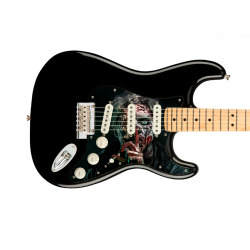 Pickguard guitare Type...