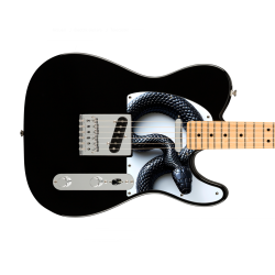 Pickguard guitare Type Télé...