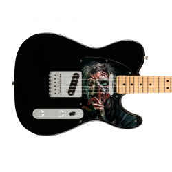 Pickguard guitare Type Télé...