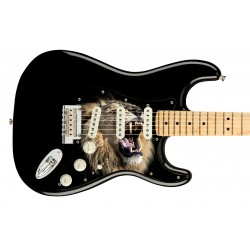 Pickguard guitare Type...