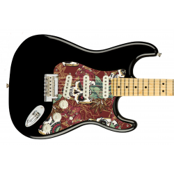 Pickguard guitare Type...