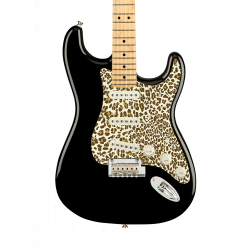 Pickguard guitare Type...