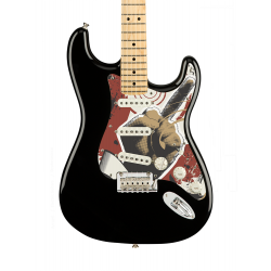 Pickguard guitare Type...