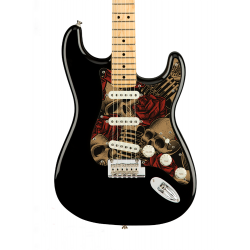 Pickguard guitare Type...