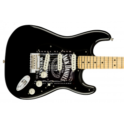 Pickguard guitare Type...