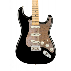 Pickguard guitare Type...