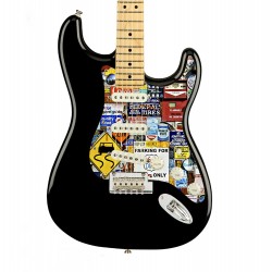 Pickguard guitare Type...