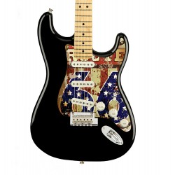 Pickguard guitare Type...