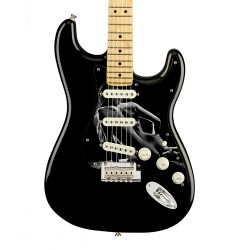 Pickguard guitare Type...