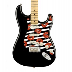 Pickguard guitare Type...