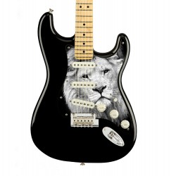 Pickguard guitare Type...