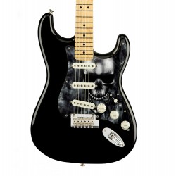 Pickguard guitare Type...