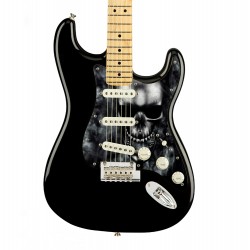 copy of Pickguard guitare...