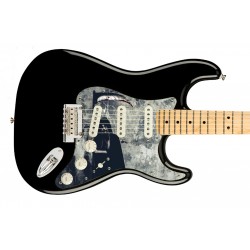 Pickguard guitare Type...