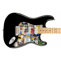 Pickguard guitare Type...