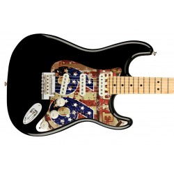 Pickguard guitare Type...